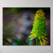 Farbenfrohe Psychedelische Blume Fotografie Poster (Vorne)