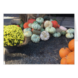 Farbenfrohe Pumpkins