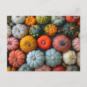 Farbenfrohe Pumpkins Gourds und Squash Postkarte