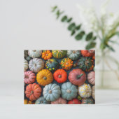 Farbenfrohe Pumpkins Gourds und Squash Postkarte (Stehend Vorderseite)