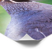 farbenfrohe Queste Fotodruck (Ecke)
