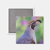 farbenfrohe Queste Magnet (Vorderseite/Rückseite)