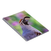 farbenfrohe Queste Notizblock (Rechte Seite)