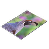 farbenfrohe Queste Notizblock (Linke Seite)