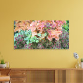 Farbenfrohe Rainbow Coleus Pflanze Fotografie Leinwanddruck (Insitu (Wohnzimmer))