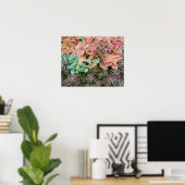 Farbenfrohe Rainbow Coleus Pflanze Fotografie Poster (Heimbüro)