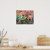 Farbenfrohe Rainbow Coleus Pflanze Fotografie Poster (Küche)