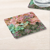 Farbenfrohe Rainbow Coleus Pflanze Fotografie Rechteckiger Pappuntersetzer (angewinkelt)