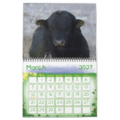 Farbenfrohe Ranch-Tiere Kalender (Mär 2027)