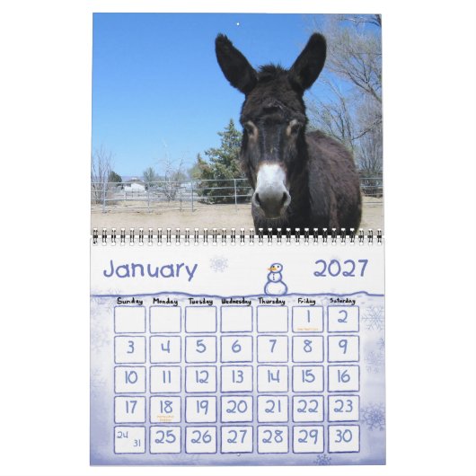 Farbenfrohe Ranch-Tiere Kalender (Jan 2027)