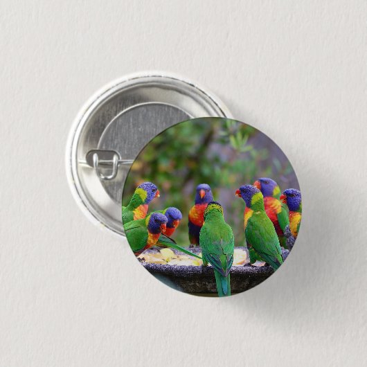 Farbenfrohe Regenbogen-Lorikeet-Papageien essen Button (Vorne & Hinten)