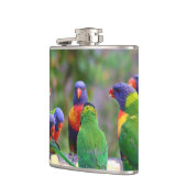 Farbenfrohe Regenbogen-Lorikeet-Papageien essen Flachmann (Links)