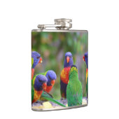 Farbenfrohe Regenbogen-Lorikeet-Papageien essen Flachmann (Rechts)