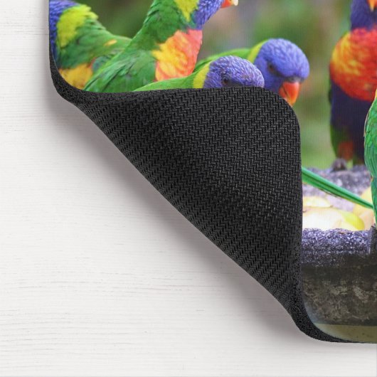 Farbenfrohe Regenbogen-Lorikeet-Papageien essen Mousepad (Ecke)