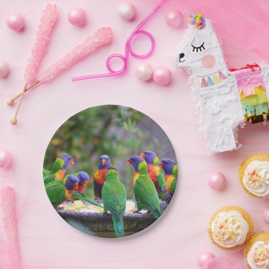 Farbenfrohe Regenbogen-Lorikeet-Papageien essen Pappteller (Party)