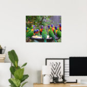 Farbenfrohe Regenbogen-Lorikeet-Papageien essen Poster (Heimbüro)