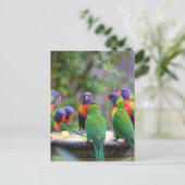 Farbenfrohe Regenbogen-Lorikeet-Papageien essen Postkarte (Stehend Vorderseite)
