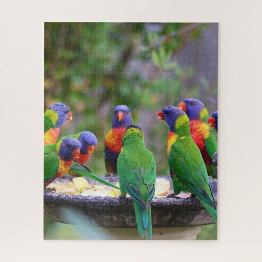 Farbenfrohe Regenbogen-Lorikeet-Papageien essen Puzzle (Vertikal)