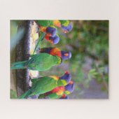 Farbenfrohe Regenbogen-Lorikeet-Papageien essen Puzzle (Horizontal)