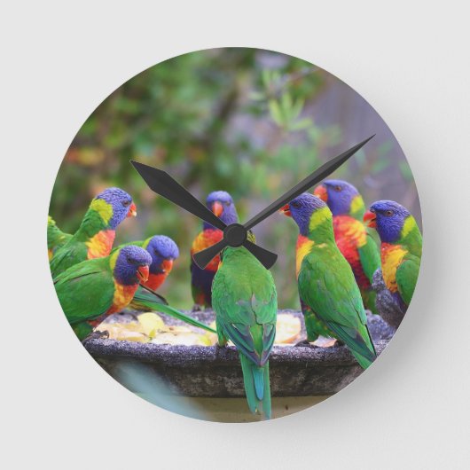 Farbenfrohe Regenbogen-Lorikeet-Papageien essen Runde Wanduhr (Vorderseite)