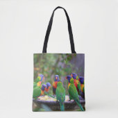Farbenfrohe Regenbogen-Lorikeet-Papageien essen Tasche (Vorderseite)
