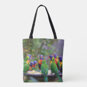 Farbenfrohe Regenbogen-Lorikeet-Papageien essen Tasche (Rückseite)