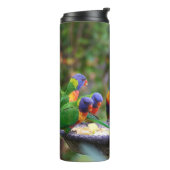 Farbenfrohe Regenbogen-Lorikeet-Papageien essen Thermosbecher (Nach links gedreht)