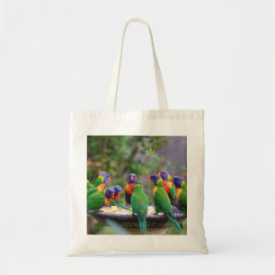 Farbenfrohe Regenbogen-Lorikeet-Papageien essen Tragetasche