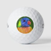 Farbenfrohe Regenbogen Lorikeet Parrot Foto Golfball (Vorderseite)
