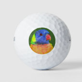 Farbenfrohe Regenbogen Lorikeet Parrot Foto Golfball (Vorderseite)