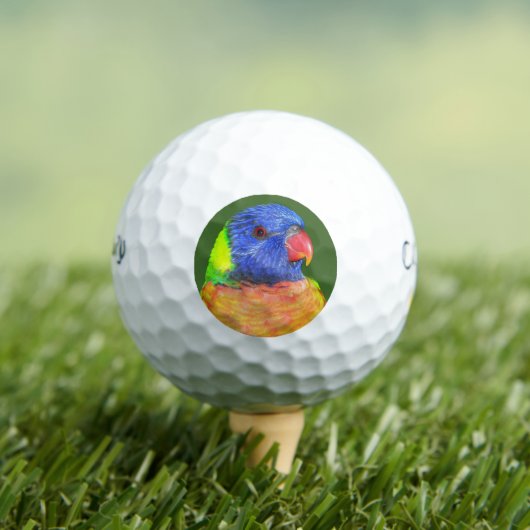 Farbenfrohe Regenbogen Lorikeet Parrot Foto Golfball (Insitu T-Shirt)