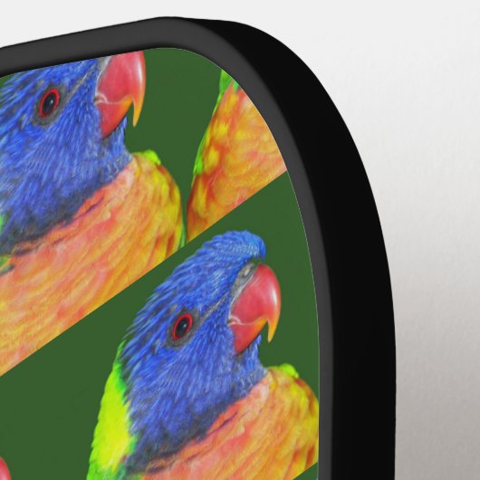 Farbenfrohe Regenbogen Lorikeet Parrot Muster Pickleball Schläger (Linke Seite)