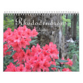 Farbenfrohe Rhododendren Kalender (Titelbild)