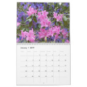 Farbenfrohe Rhododendren Kalender (Jan 2019)