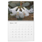 Farbenfrohe Rhododendren Kalender (Feb 2019)
