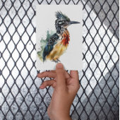 Farbenfrohe Roadrunner in Wasserfarbe Postkarte