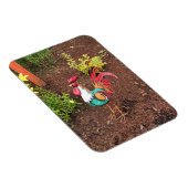 Farbenfrohe Rooster im Garten Magnet (Rechte Seite)