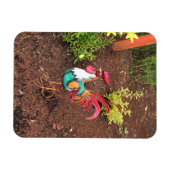 Farbenfrohe Rooster im Garten Magnet (Horizontal)