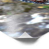 Farbenfrohe Rooster - Kauai, Hawaii Fotodruck (Ecke)