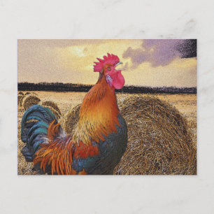 Farbenfrohe Rooster und Hay Bale Postkarte