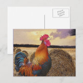 Farbenfrohe Rooster und Hay Bale Postkarte (Vorne/Hinten)