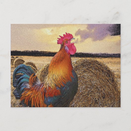 Farbenfrohe Rooster und Hay Bale Postkarte (Vorderseite)