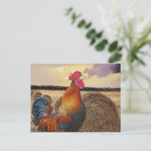 Farbenfrohe Rooster und Hay Bale Postkarte (Stehend Vorderseite)