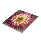 Farbenfrohe rosa Kaktus Dahlia Bloom Floral Fliese (Seite)