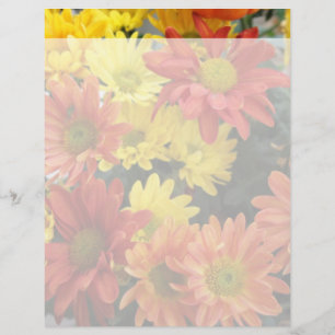 farbenfrohe rote, gelbe und orangefarbene Blume