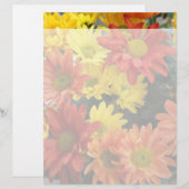 farbenfrohe rote, gelbe und orangefarbene Blume (Vorne/Hinten)