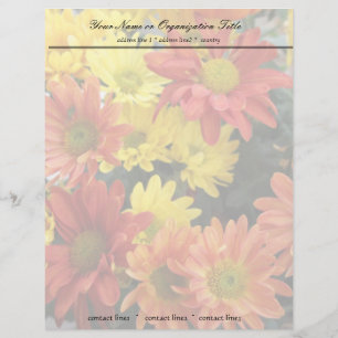 farbenfrohe rote, gelbe und orangefarbene Blume Briefkopf