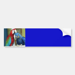 Farbenfrohe rote und blaue Macaws Autoaufkleber