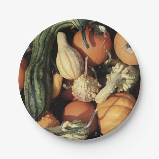 Farbenfrohe Sammlung von Herbstgürteln Pappteller (Vorderseite)