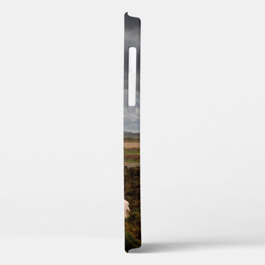 Farbenfrohe Schafe Case-Mate iPhone Fall Hülle (Rückseite / Links)